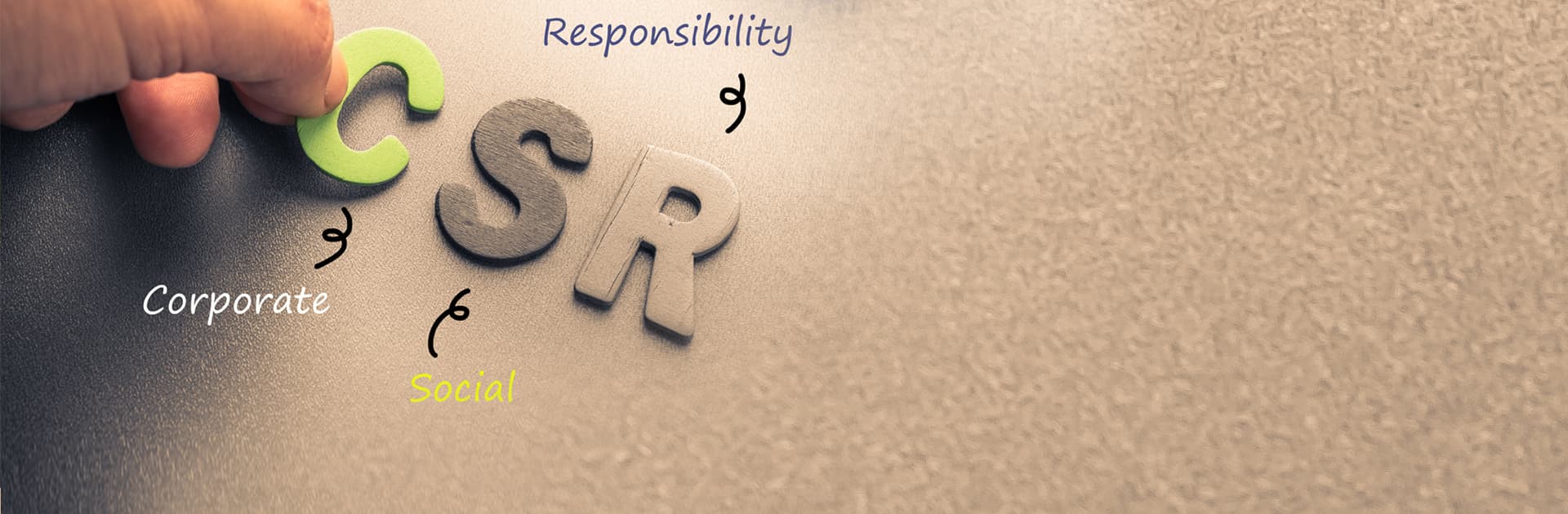 Corporate Social Responsibity